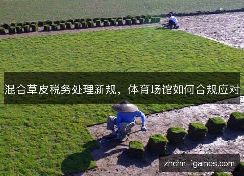 混合草皮税务处理新规，体育场馆如何合规应对